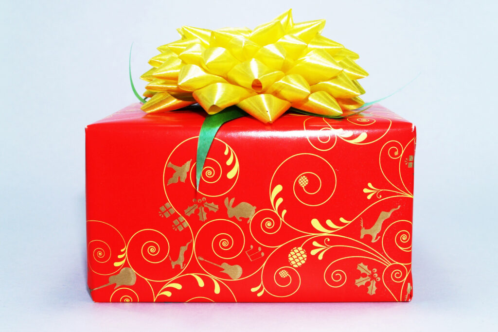 GIVE THE PERFECT GIFT THIS YEAR! Great Gift Ideas for Older Parents -  YouTube